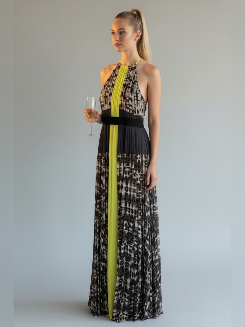 BCBGMaxAzria Maxi Dress - Long Chiffon Pleated Multicolor